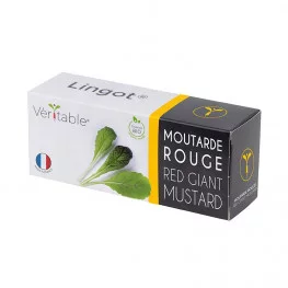 Organic Red giant mustard Lingot®