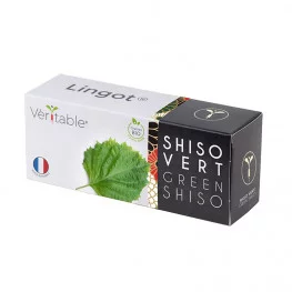Lingot® Shiso vert BIO