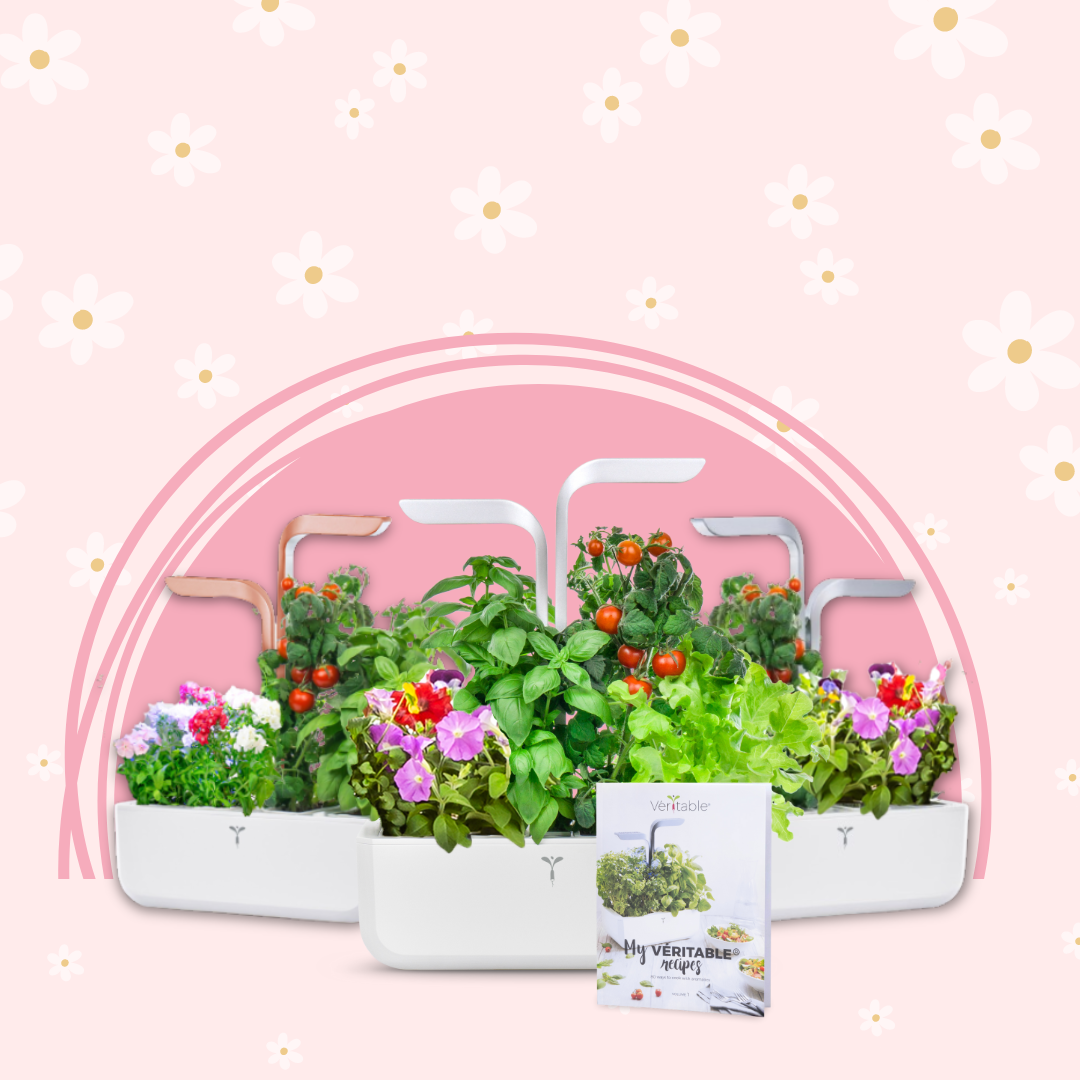Give her a green thumb this Mother Day!